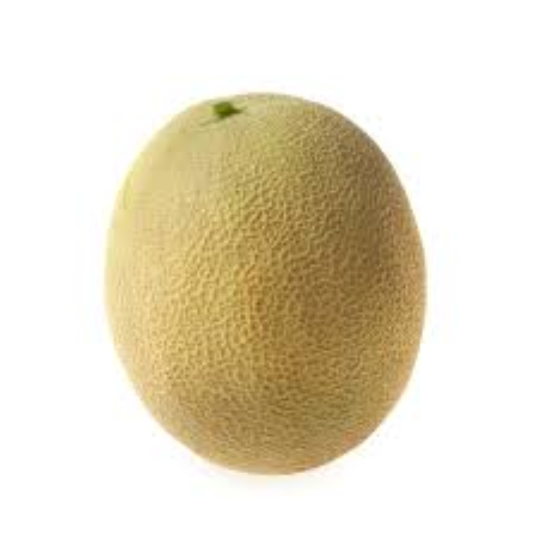 AAA MELON CANTALOUPE CARRIBEAN GOLD